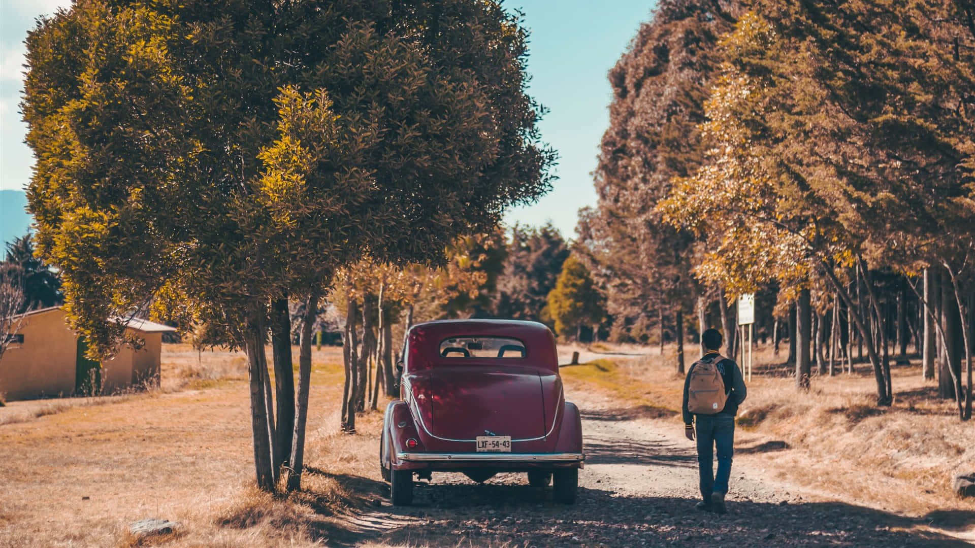 Vintage Autumn, maroon car, tree-lined dirt road, Full HD Desktop Wallpaper