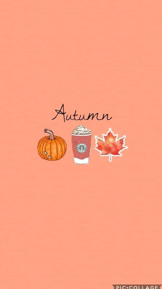 Vintage Autumn, pumpkin, Starbucks drink, SD Phone Wallpaper