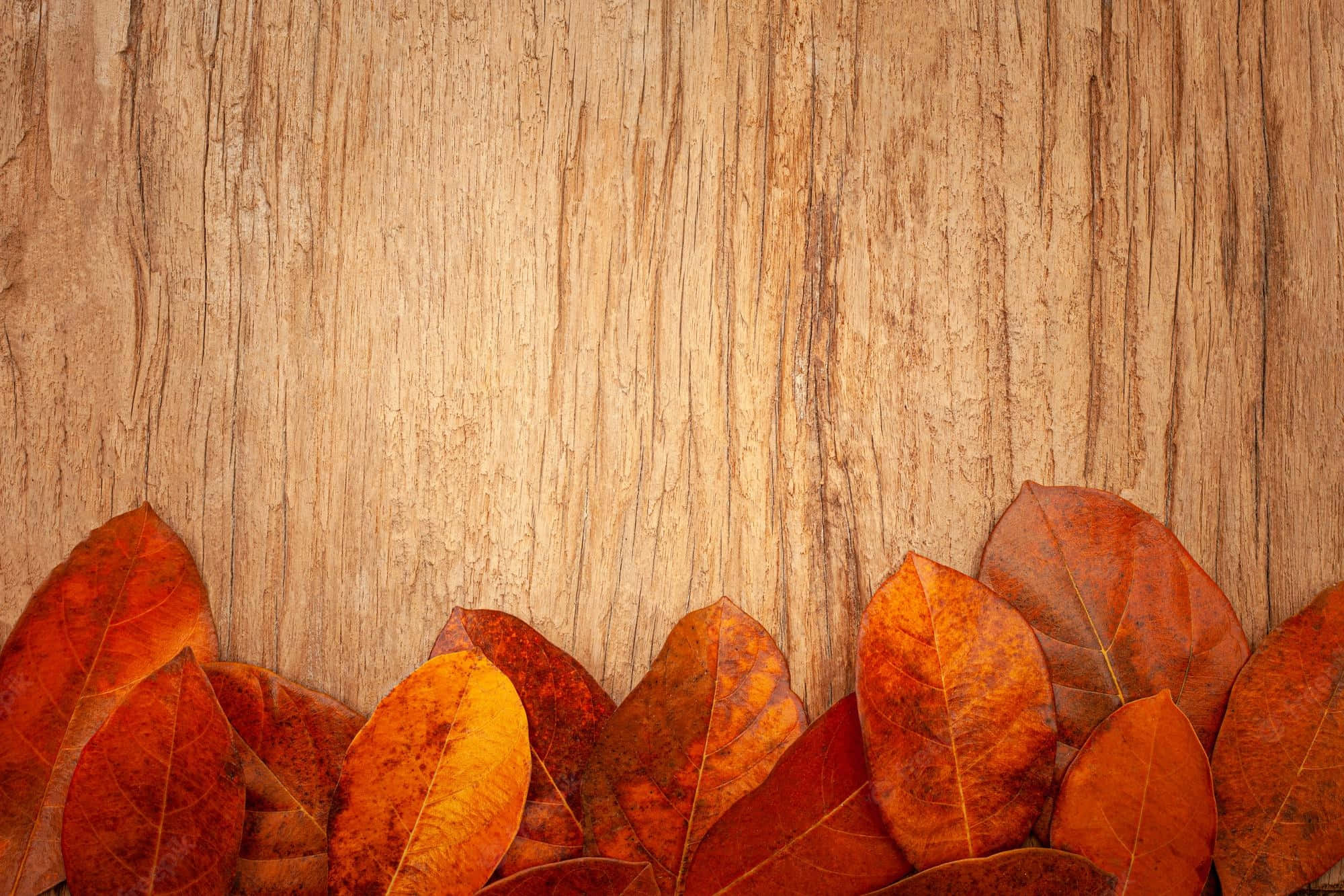 Vintage Autumn, autumn leaves, warm orange, Full HD Desktop Wallpaper