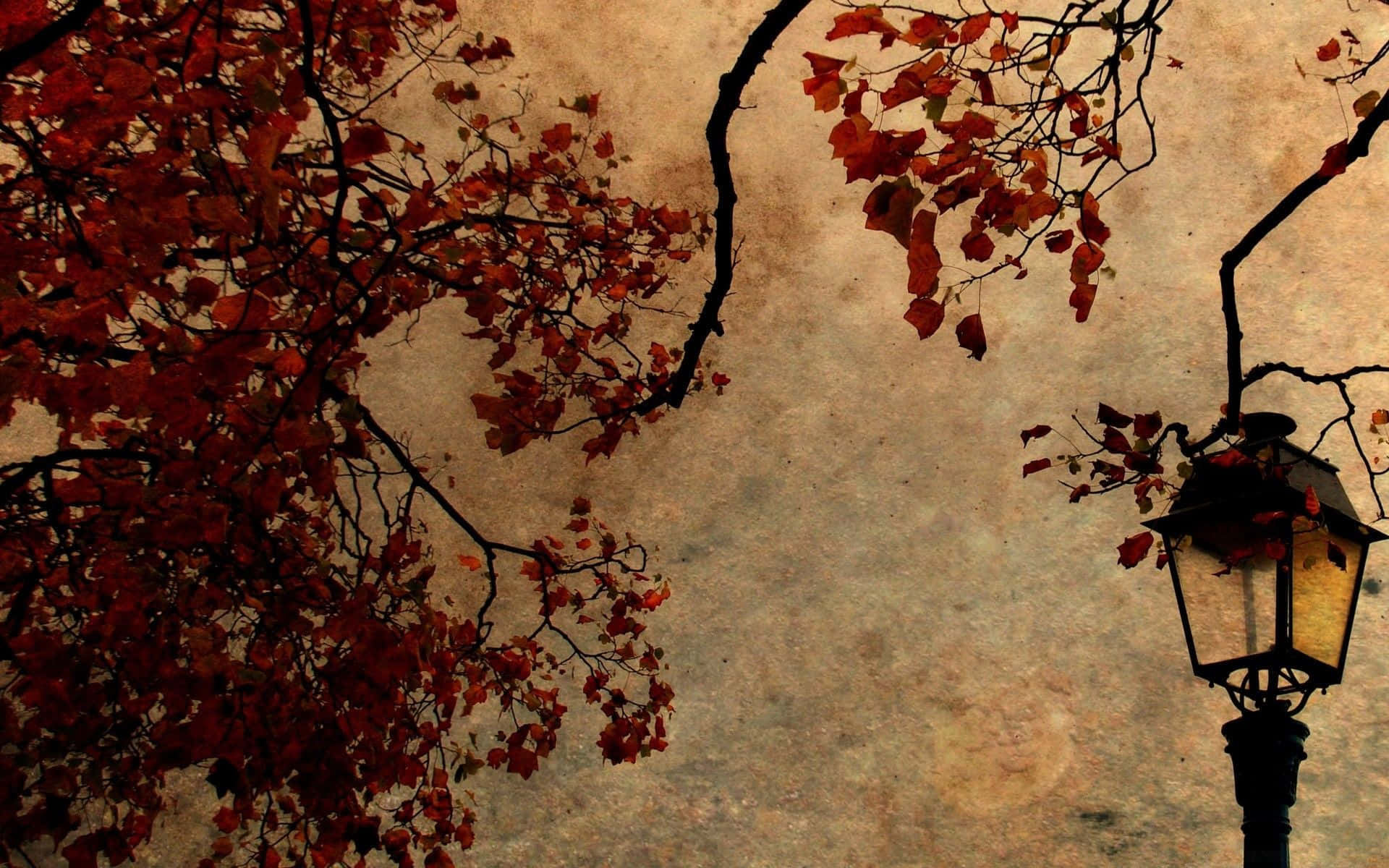 vintage autumn, autumn leaves, bare branches, Full HD Desktop Wallpaper