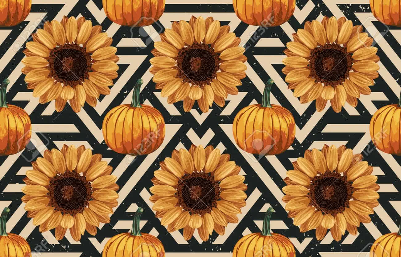 Vintage Autumn, sunflowers, pumpkins, HD Desktop Wallpaper