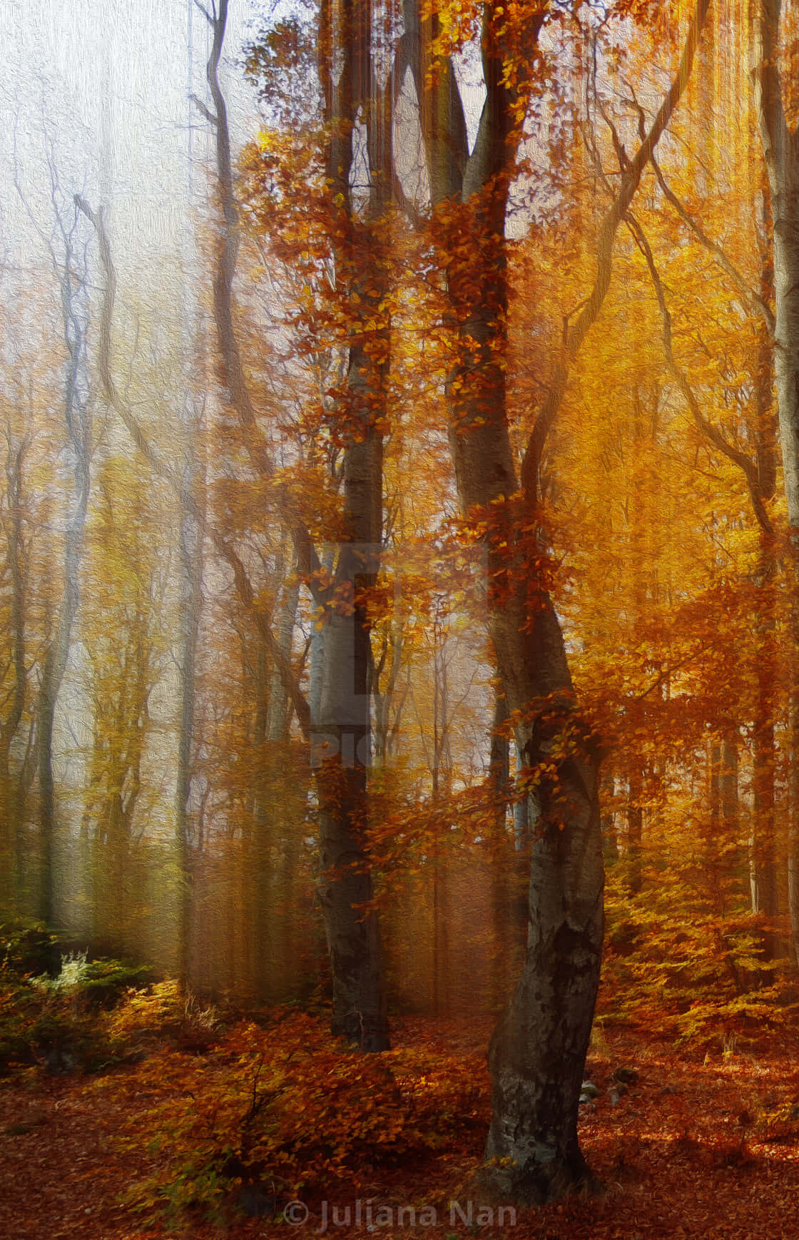 Vintage Autumn, golden autumn leaves, misty forest, HD Phone Wallpaper