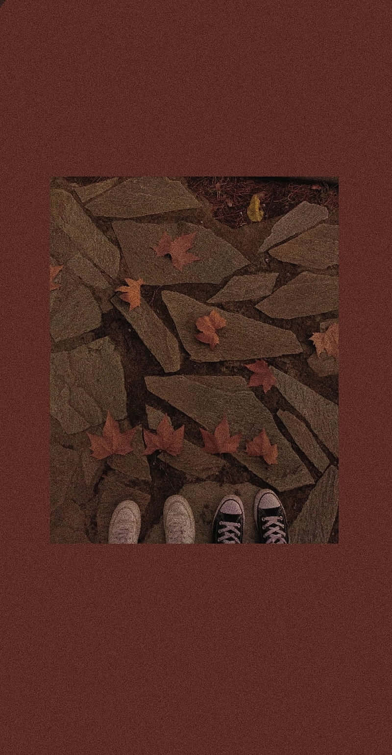 Vintage Autumn, sneakers, stone path, HD Phone Wallpaper