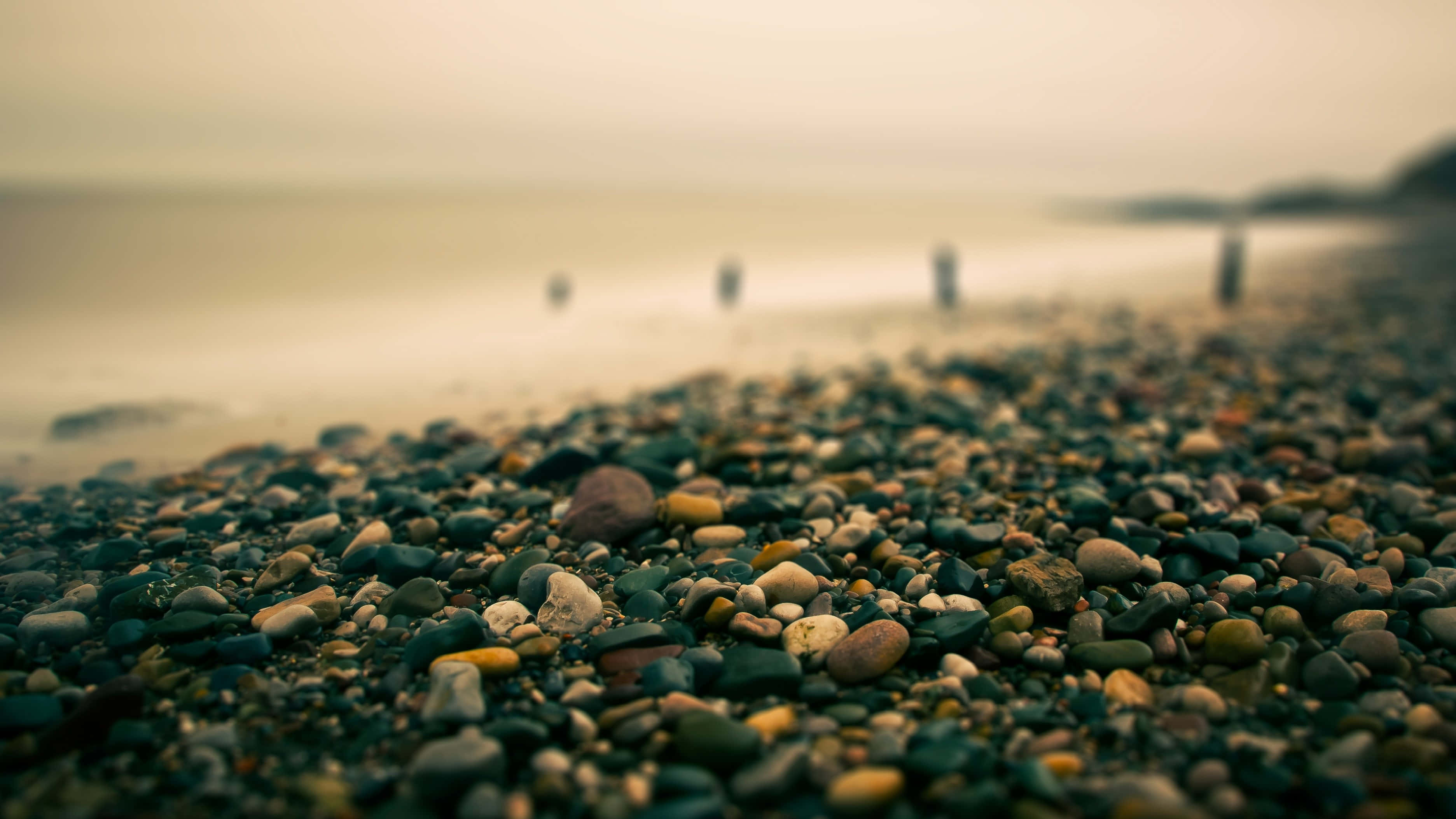 retro beach, warm tones, misty shoreline, 2K Desktop Wallpaper