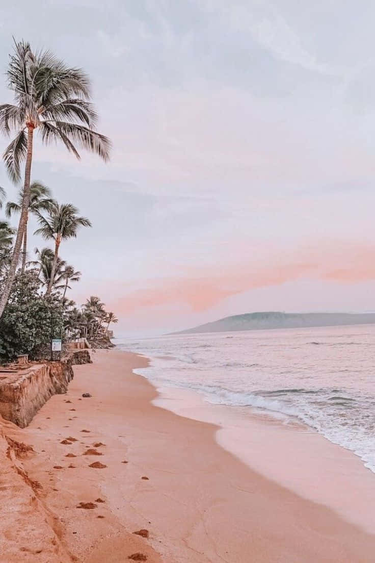 Vintage Beach Aesthetic, palm trees, dawn, SD Phone Wallpaper
