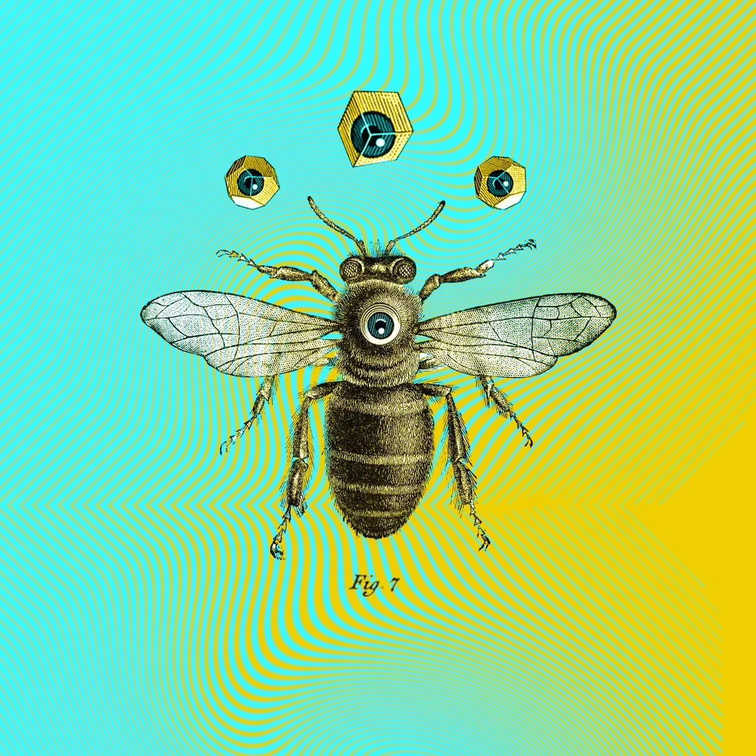 Vintage Bee Aesthetic