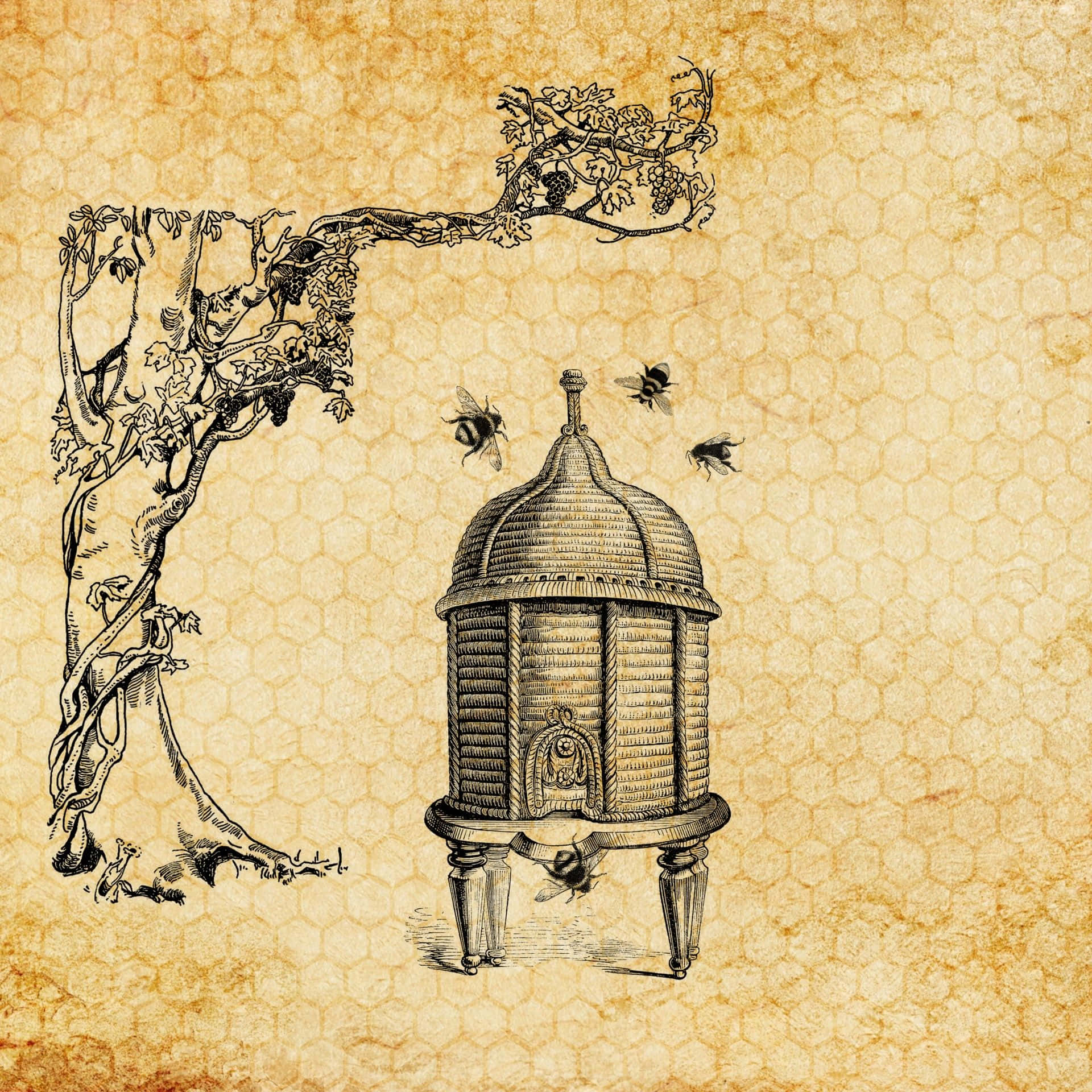Vintage Bee, beehive, bees, Full HD Desktop Wallpaper