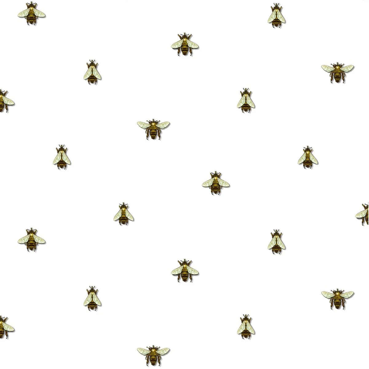 Vintage Bee Pattern, golden bees, translucent wings, SD Desktop Wallpaper