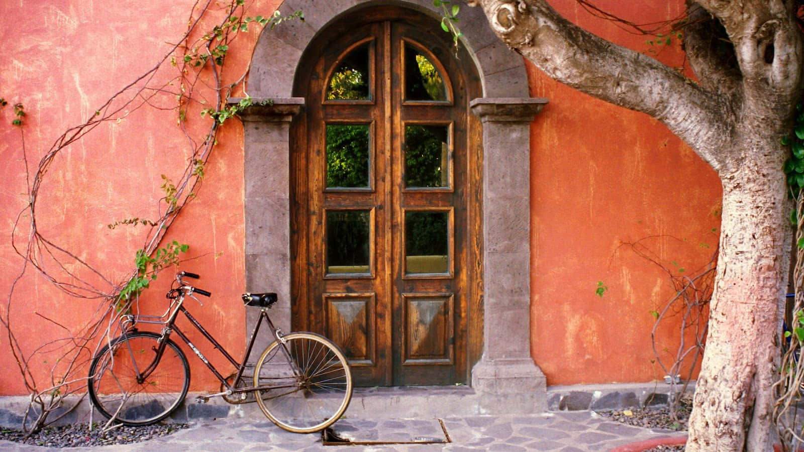 vintage bicycle, warm terracotta wall, wooden arched door, HD Desktop Wallpaper