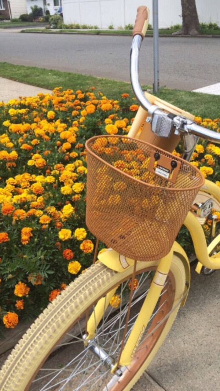 yellow aesthetic bike, wire basket, orange and yellow marigolds, HD Phone Wallpaper