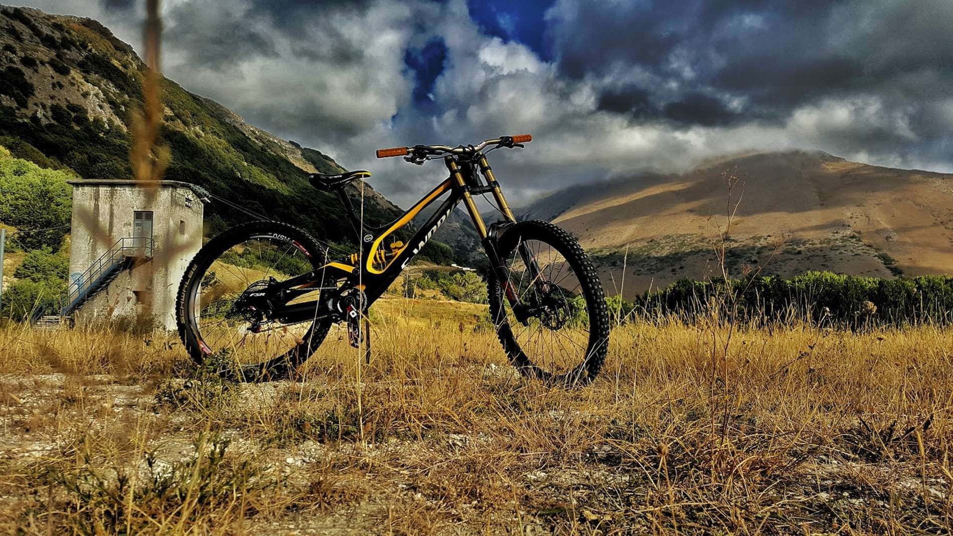 black and yellow, mountain bike, dry grass, HD Desktop Wallpaper