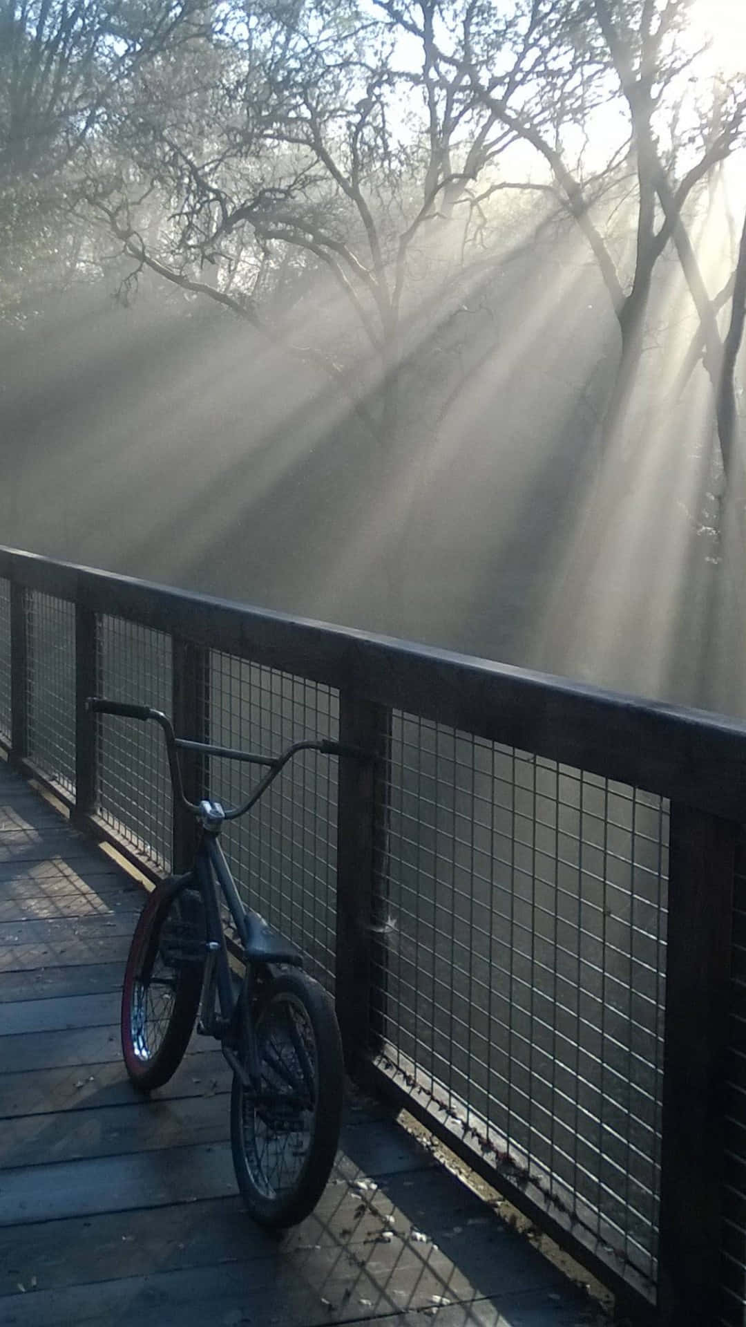 bmx, wooden deck, misty forest boardwalk, Full HD Phone Wallpaper