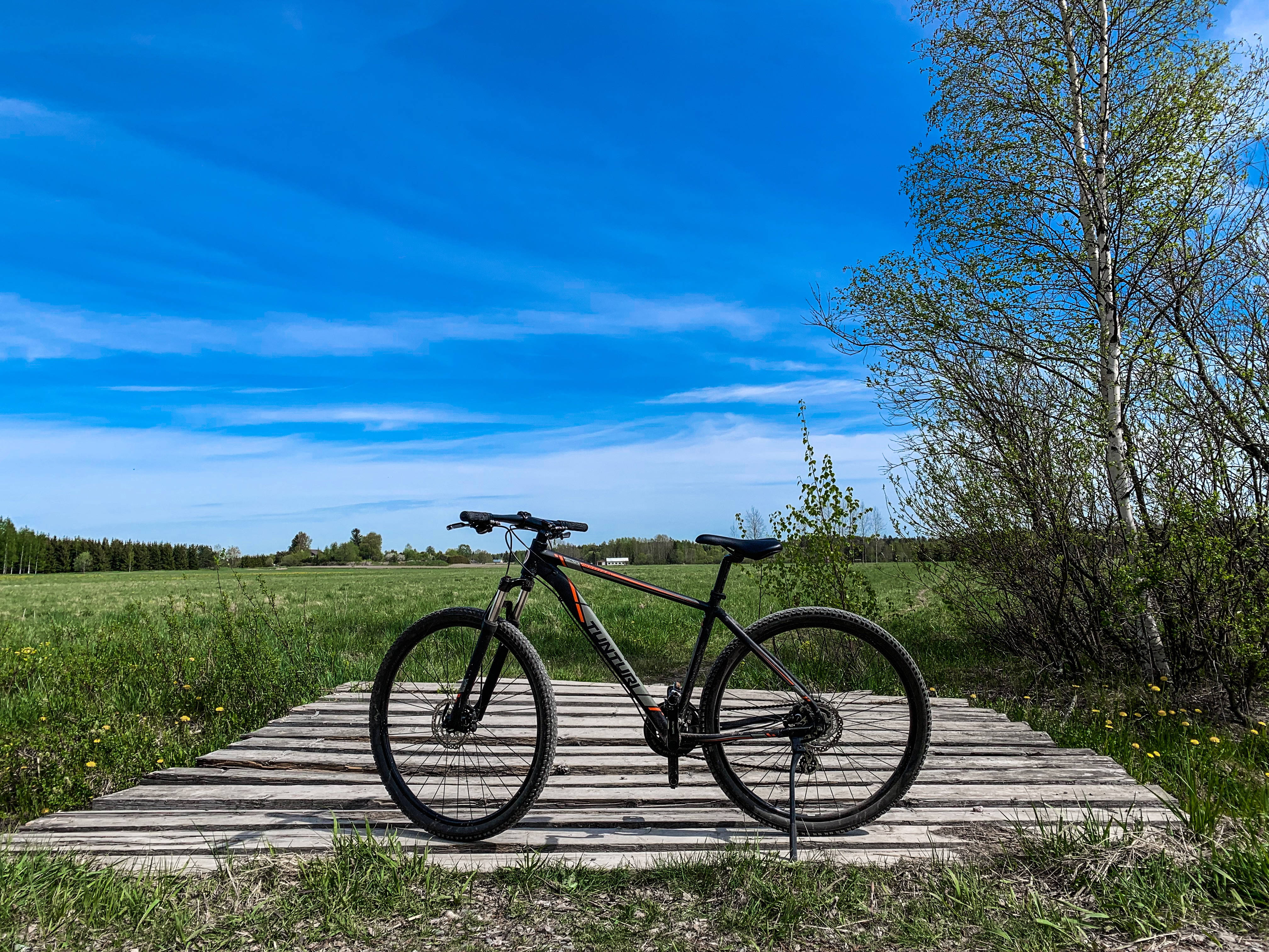 black mountain bike, weathered wooden platform, sunlit grassy field, 4K Desktop Wallpaper
