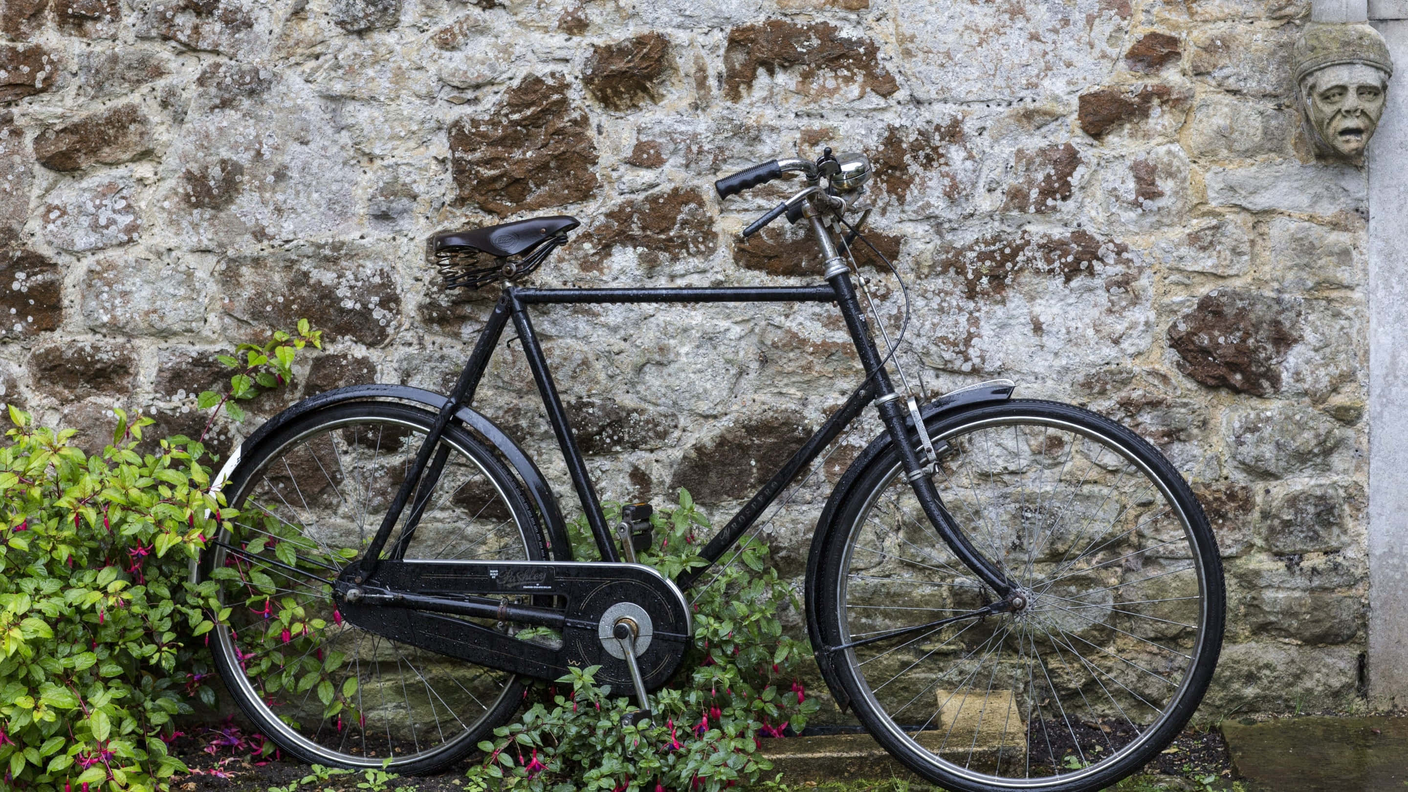 vintage bicycle, mossy stone wall, green foliage, 2K Desktop Wallpaper