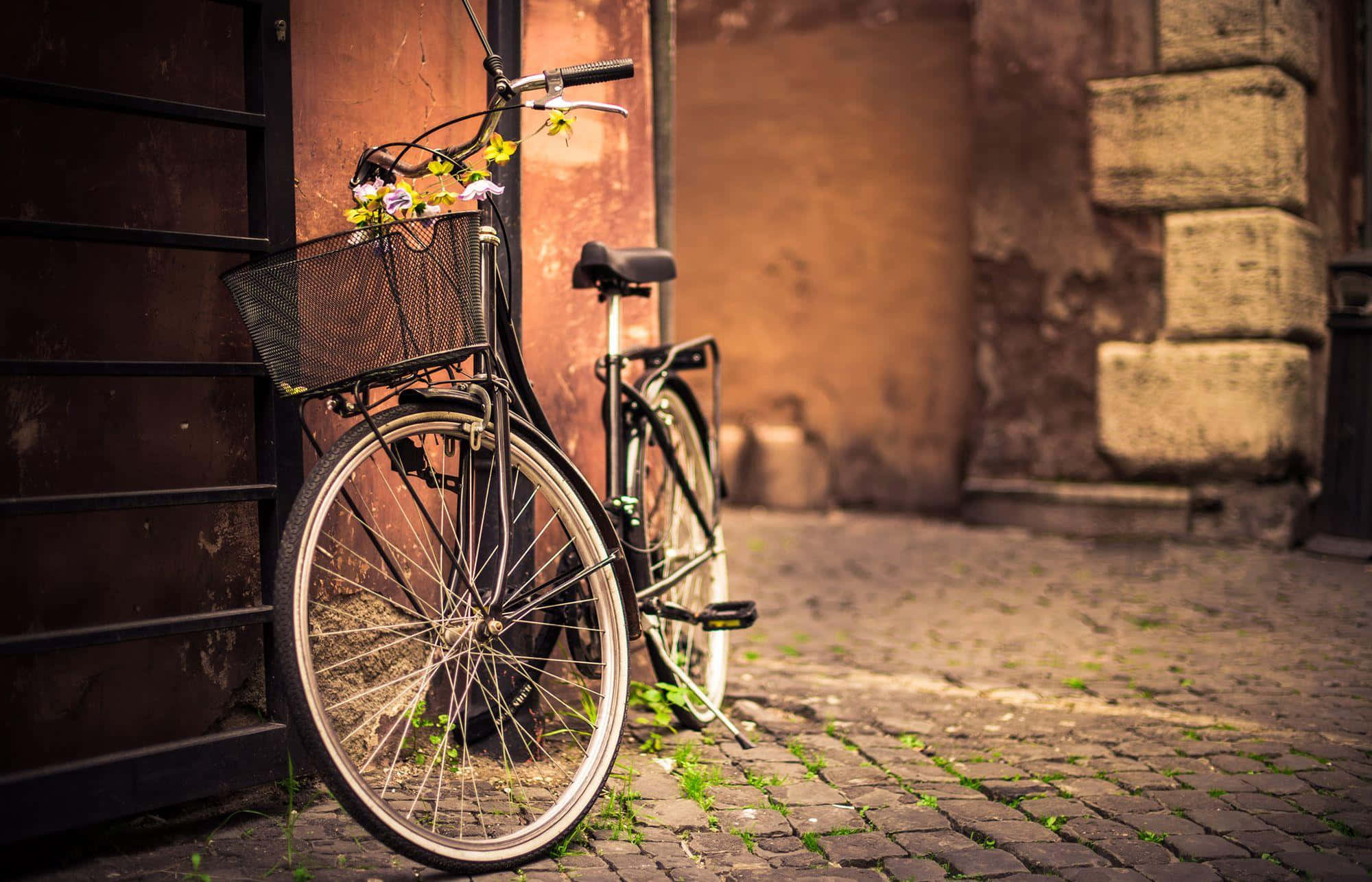 classic vintage bicycle, iron gate, flower basket, Full HD Desktop Wallpaper