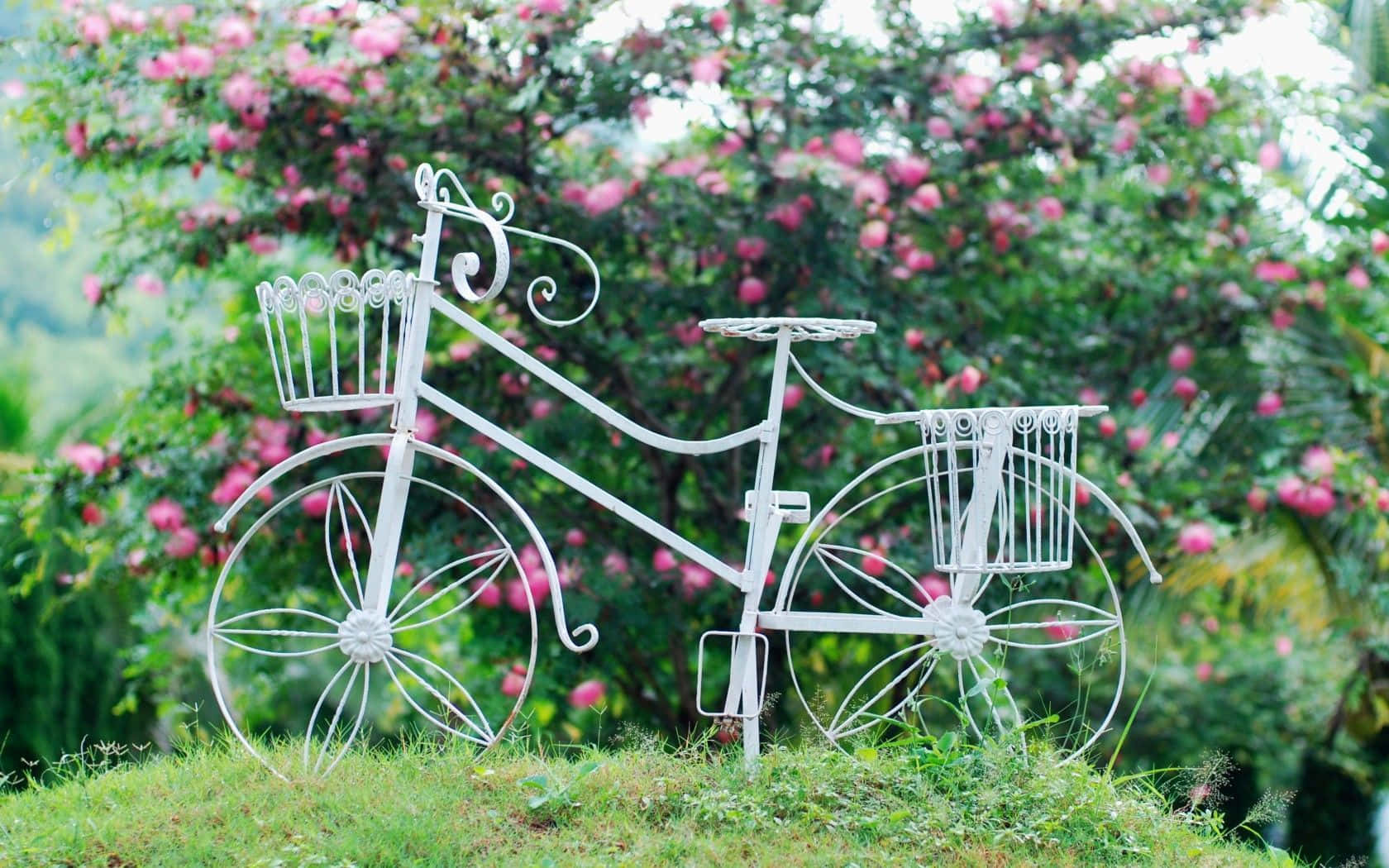 classic elegance, gorgeous vintage bicycle, white metal bicycle sculpture, HD Desktop Wallpaper