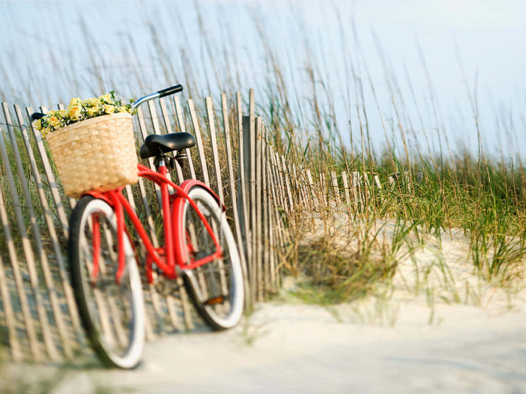 vintage red bicycle, wicker basket, yellow flowers, SD Desktop Wallpaper