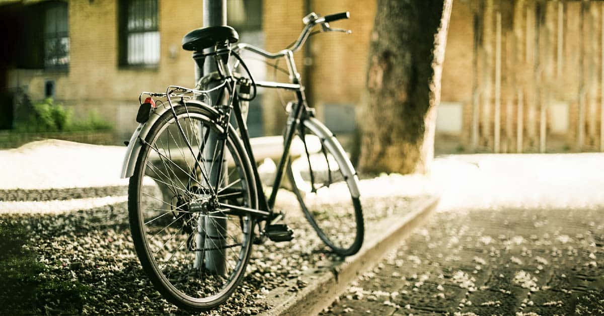 vintage bicycle, sunlit sidewalk, tree, SD Desktop Wallpaper