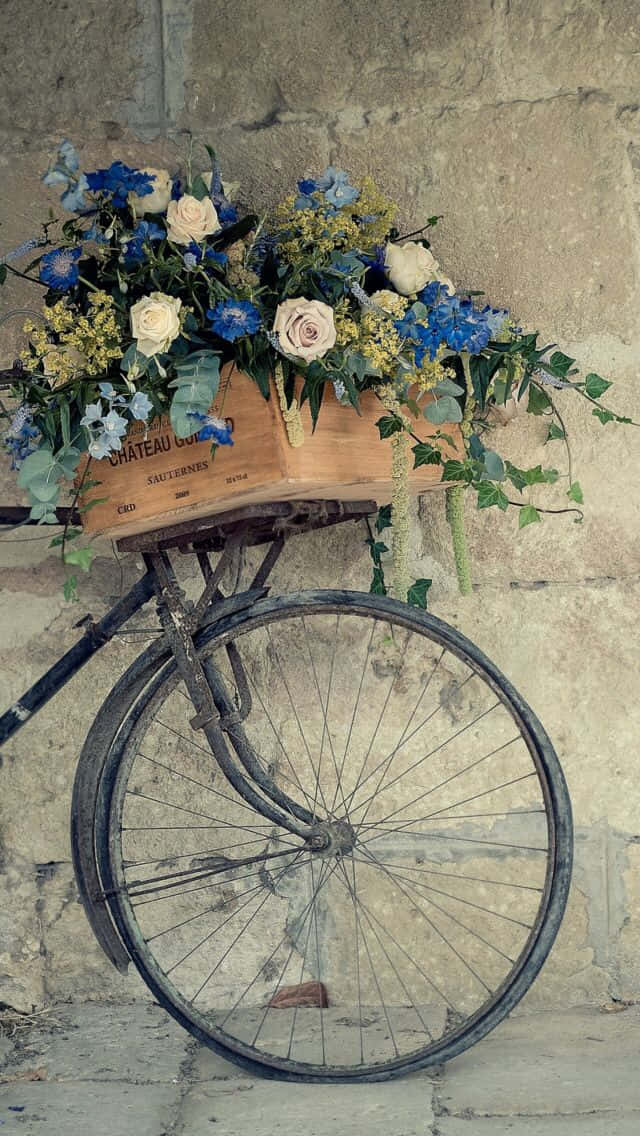 vintage bicycle, flower basket, wooden crate, SD Phone Wallpaper
