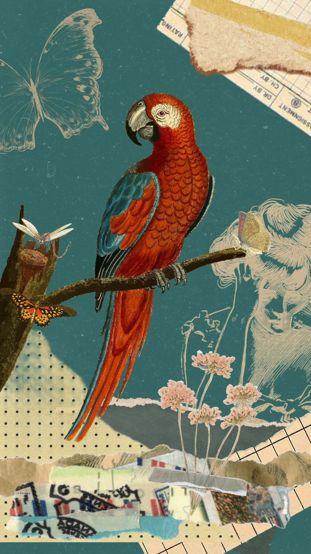 vintage parrot, red macaw, butterflies, Full HD Phone Wallpaper