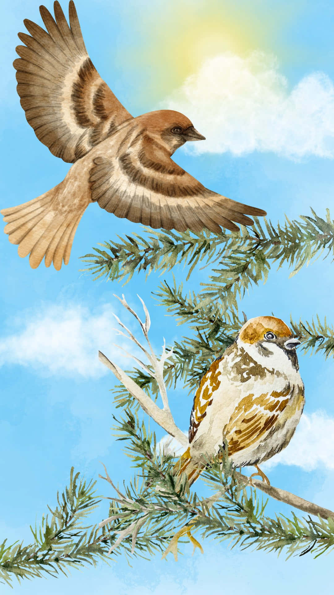 vintage sparrows, pine branches, bright blue sky, Full HD Phone Wallpaper