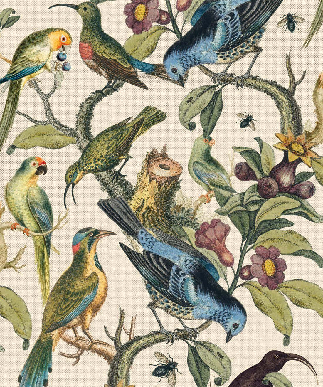 Vintage Exotic Birds Pattern, vibrant vintage-style illustration, exotic birds, HD Phone Wallpaper