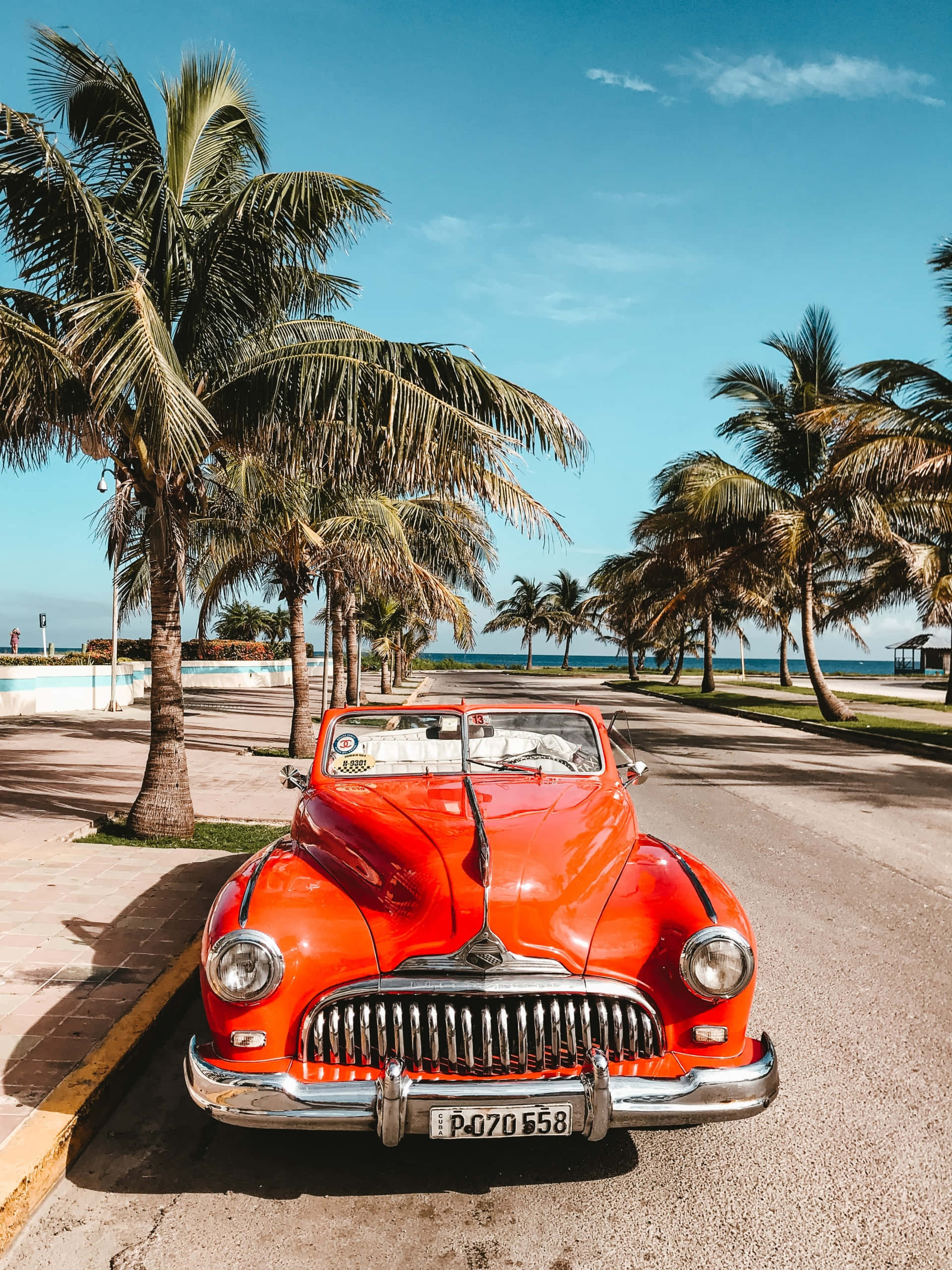 vintage car, palm trees, coastal road, 2K Phone Wallpaper