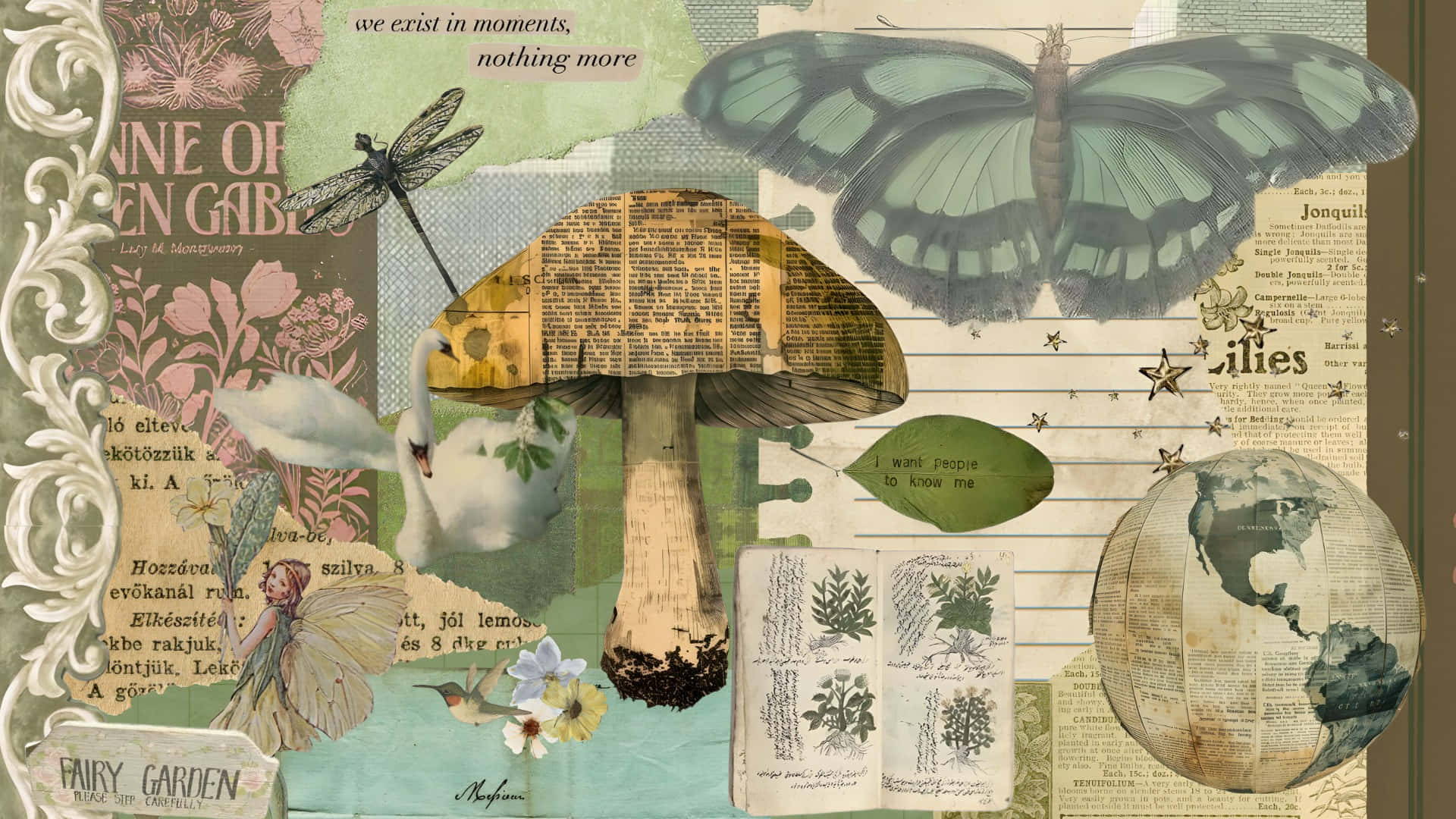 green butterfly, mushroom, globe, Full HD Desktop Wallpaper