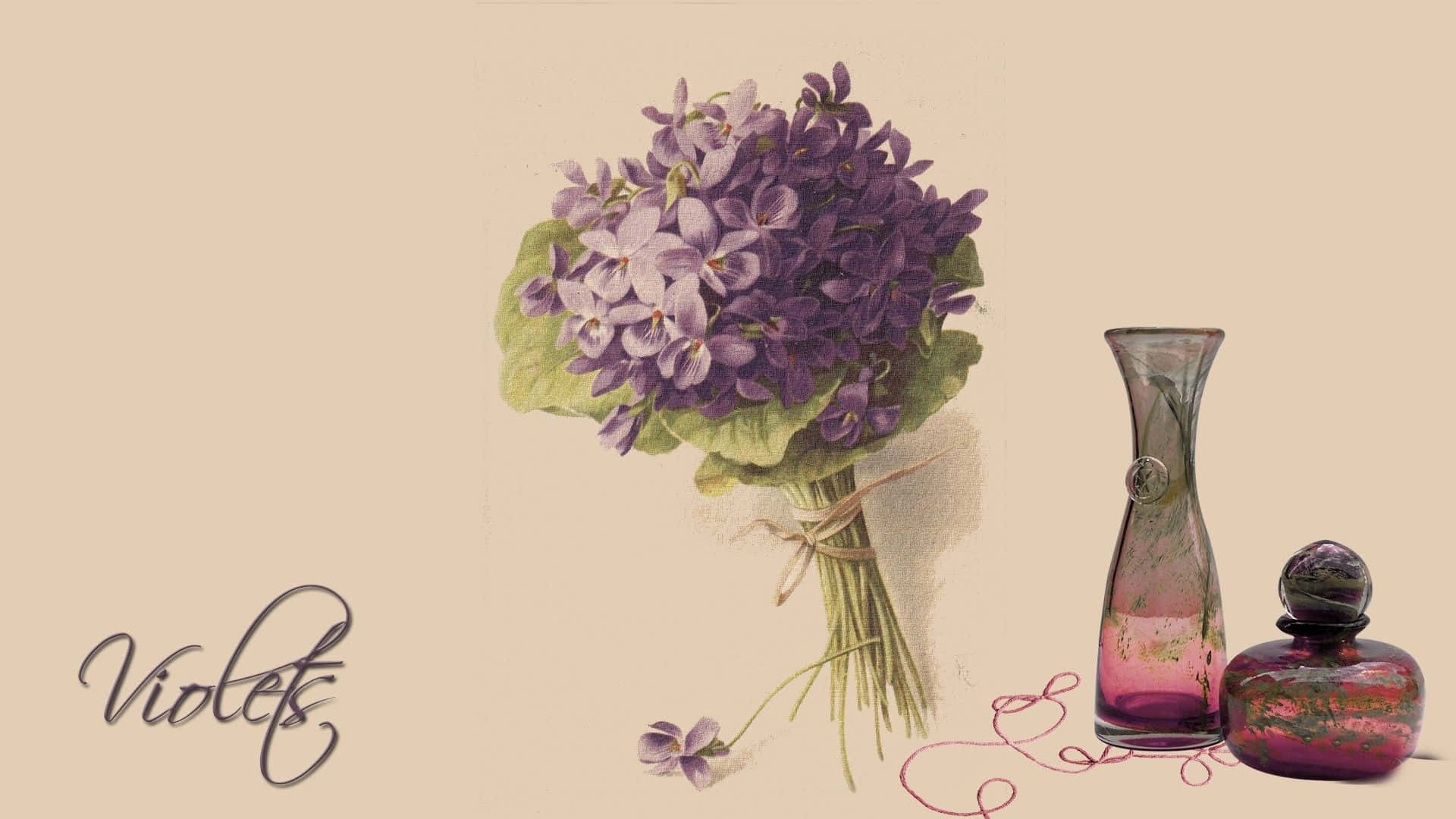 vintage-style illustration, lush purple violet bouquet, twine, Full HD Desktop Wallpaper