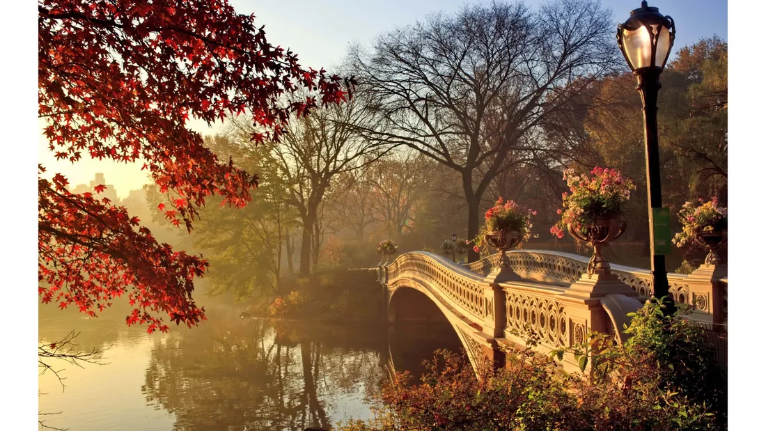 Vintage Fall