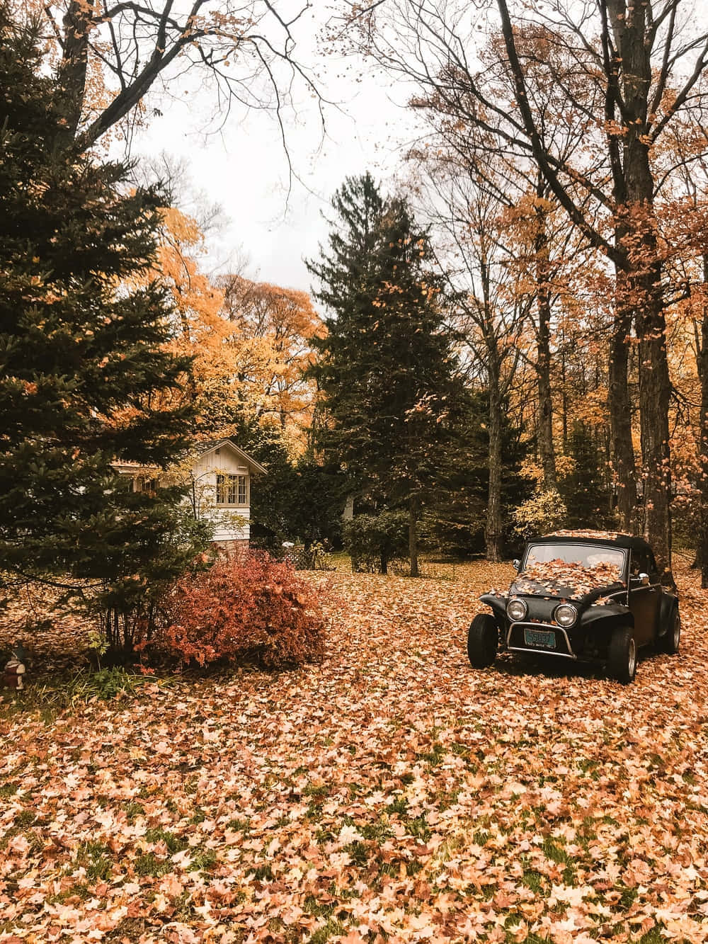 Vintage Fall, vintage black car, forest clearing, HD Phone Wallpaper