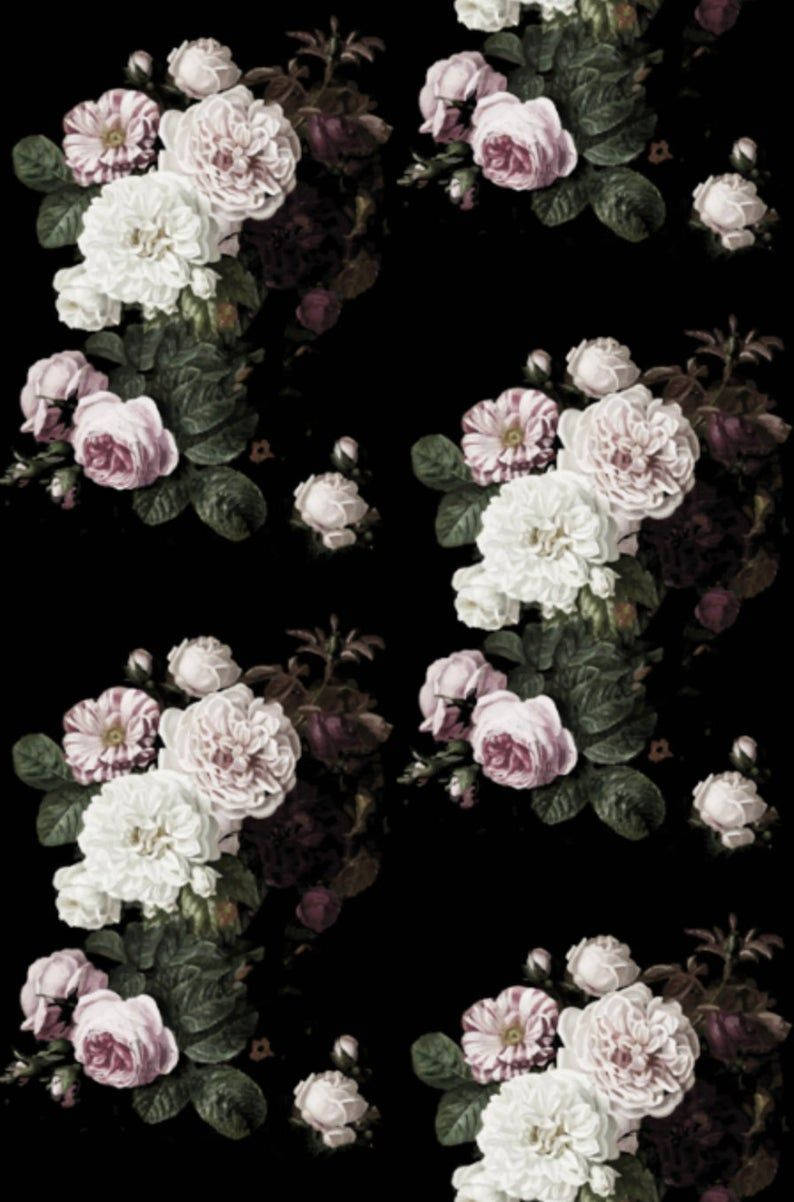 vintage floral, white roses, pale pink roses, SD Phone Wallpaper
