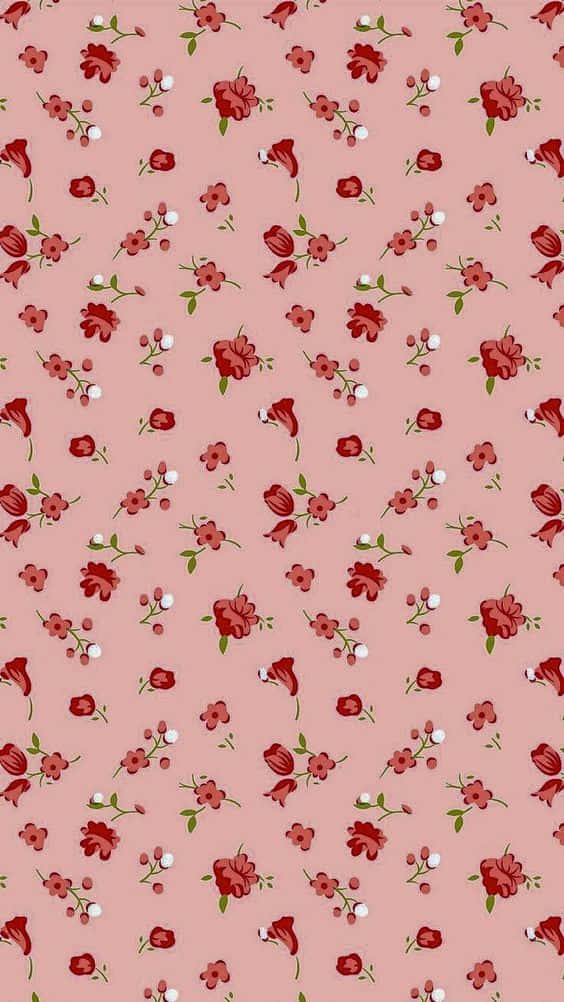 pink floral pattern, red flowers, white flowers, SD Phone Wallpaper