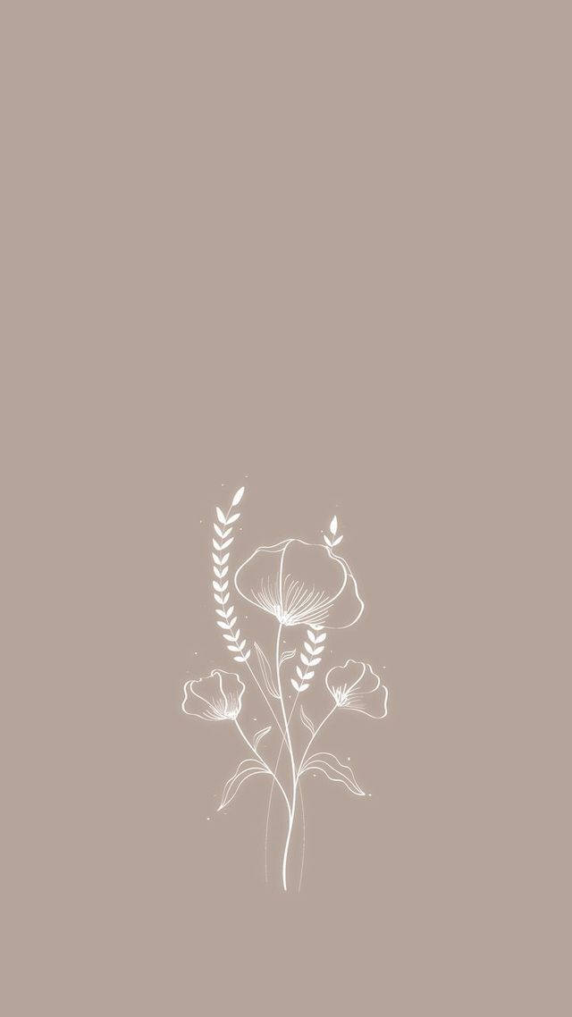 Neutral iPhone Flower Art, white line drawing, delicate flowers, SD Phone Wallpaper