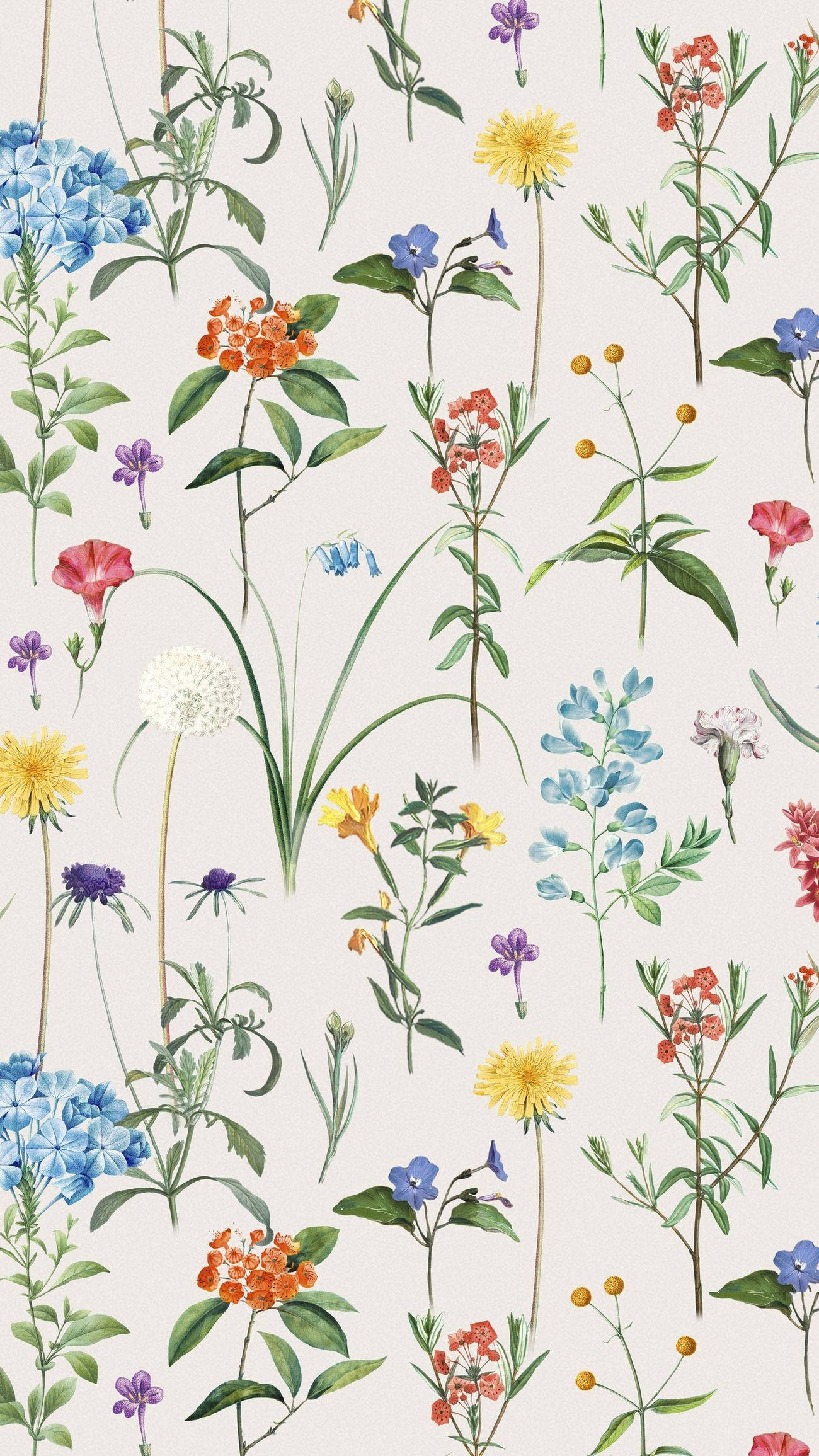 Vintage Floral iPhone, soft roses, watercolor pattern, Full HD Phone Wallpaper