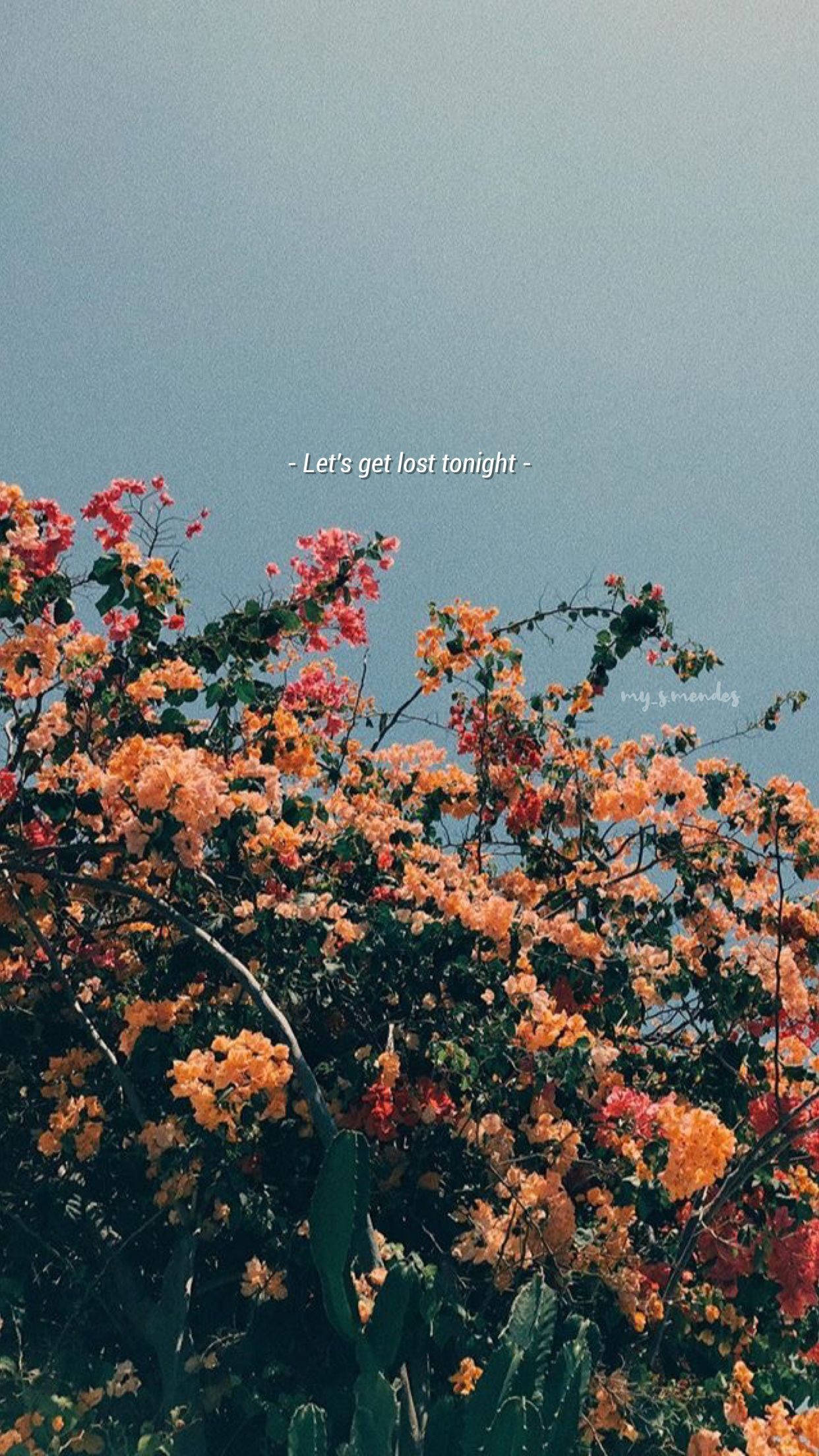 vintage aesthetic phone, bougainvillea, orange, Full HD Phone Wallpaper
