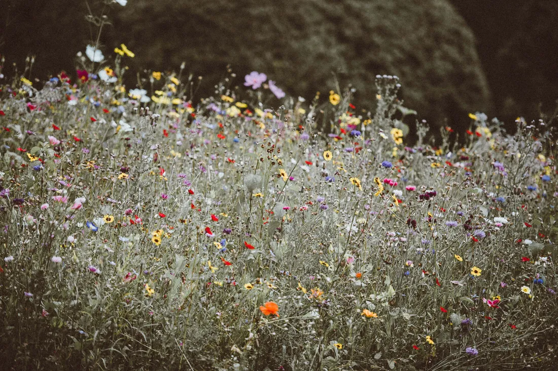 Vintage Flower Aesthetic