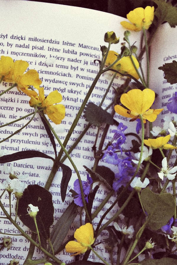 yellow and purple wildflowers, open book, Polish text, SD Phone Wallpaper