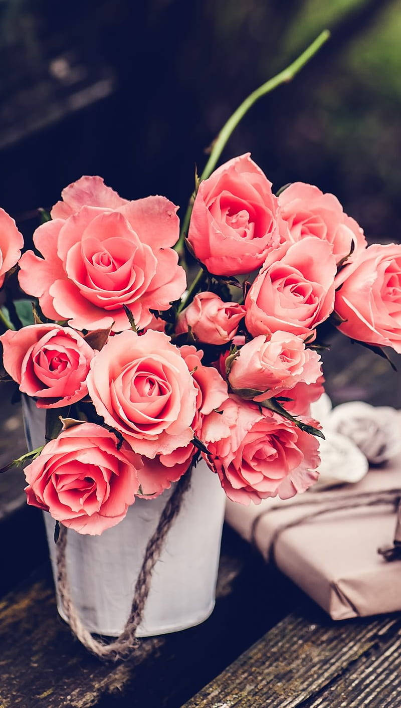 vintage flower aesthetic, pink roses, rustic white bucket, HD Phone Wallpaper