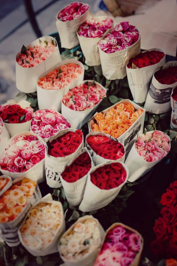 vintage flower aesthetic, roses, red pink and orange, SD Phone Wallpaper