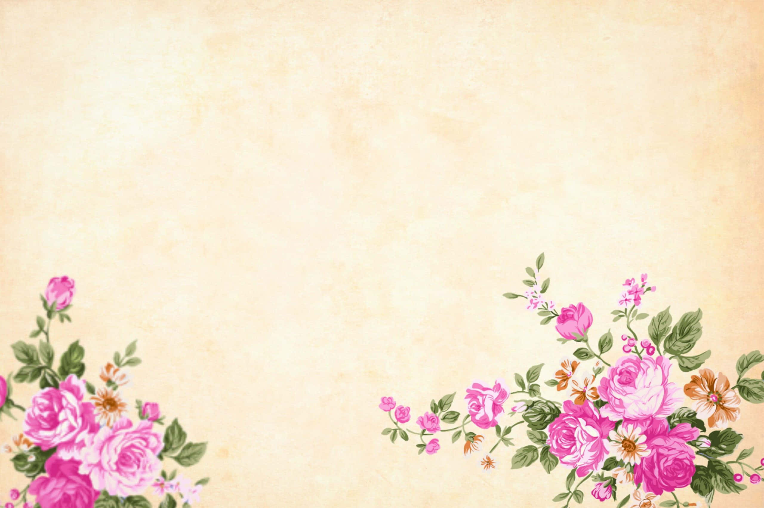 vintage flower, pink roses, green leaves, 2K Desktop Wallpaper
