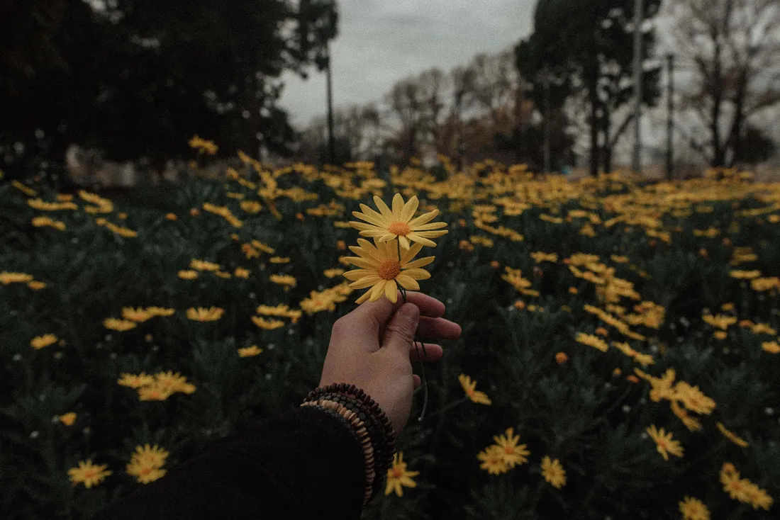 Vintage Girl Aesthetic