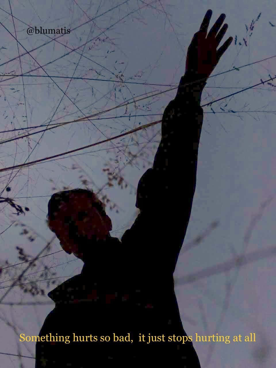 vintage grunge aesthetic, twilight sky, bare winter branches, HD Phone Wallpaper