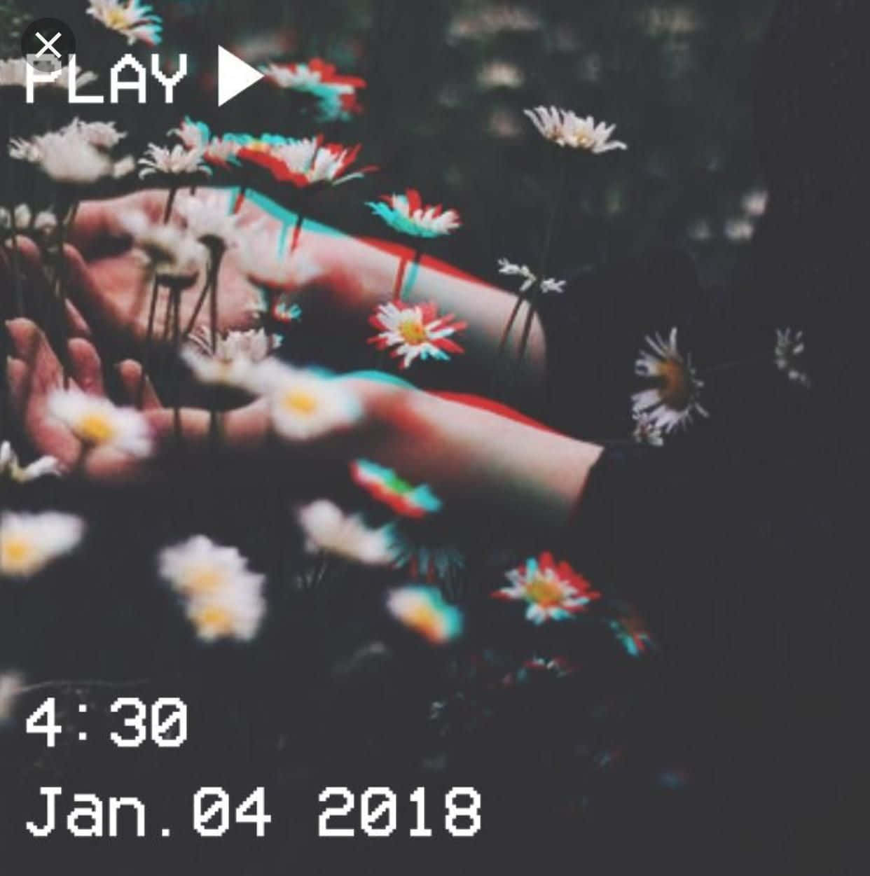 vintage grunge aesthetic, daisies, glitchy red blue color distortion, SD Phone Wallpaper