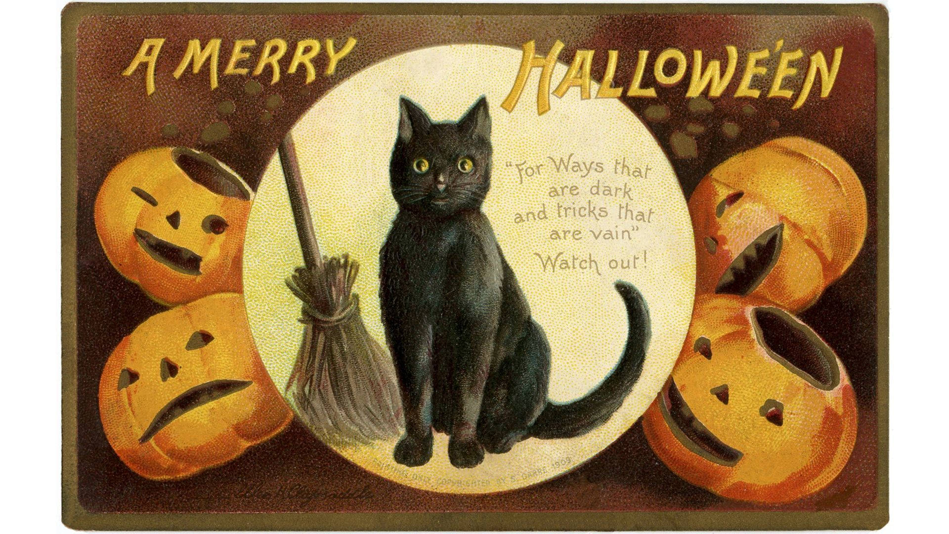 Vintage Halloween, black cat, glowing eyes, Full HD Desktop Wallpaper