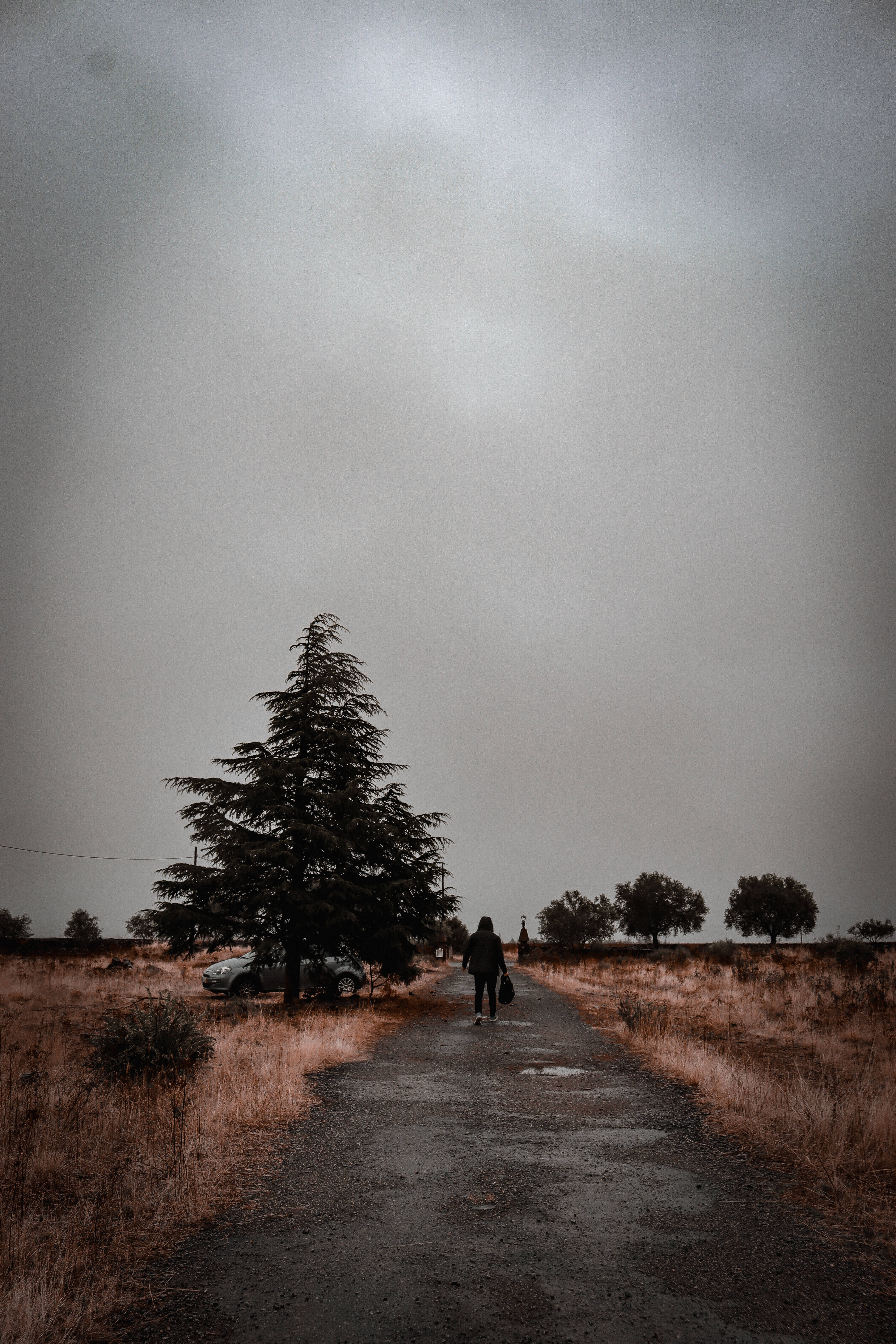 Vintage Halloween Man In Jacket, wet rural road, heavy overcast sky, 5K Phone Wallpaper