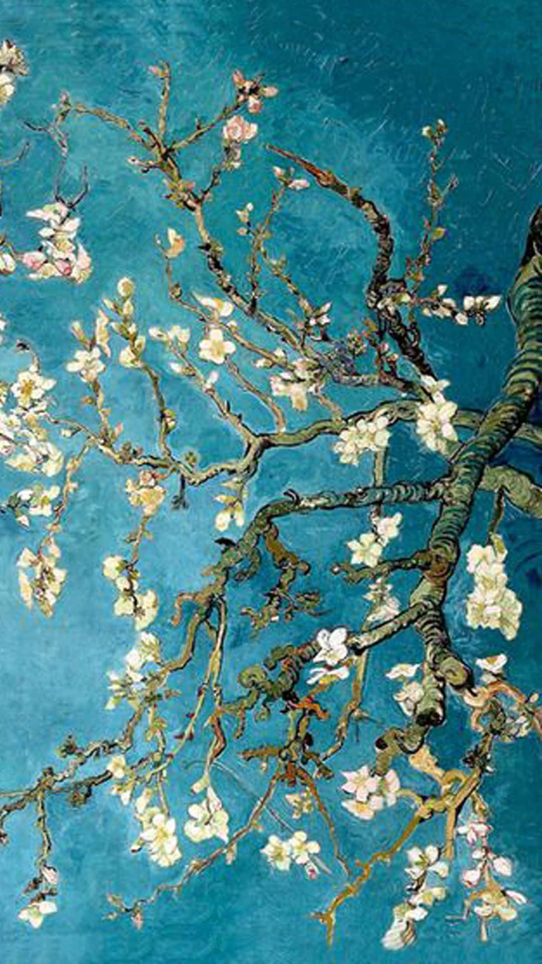 almond tree, white and pink blossoms, vibrant textured teal background, Full HD Phone Wallpaper