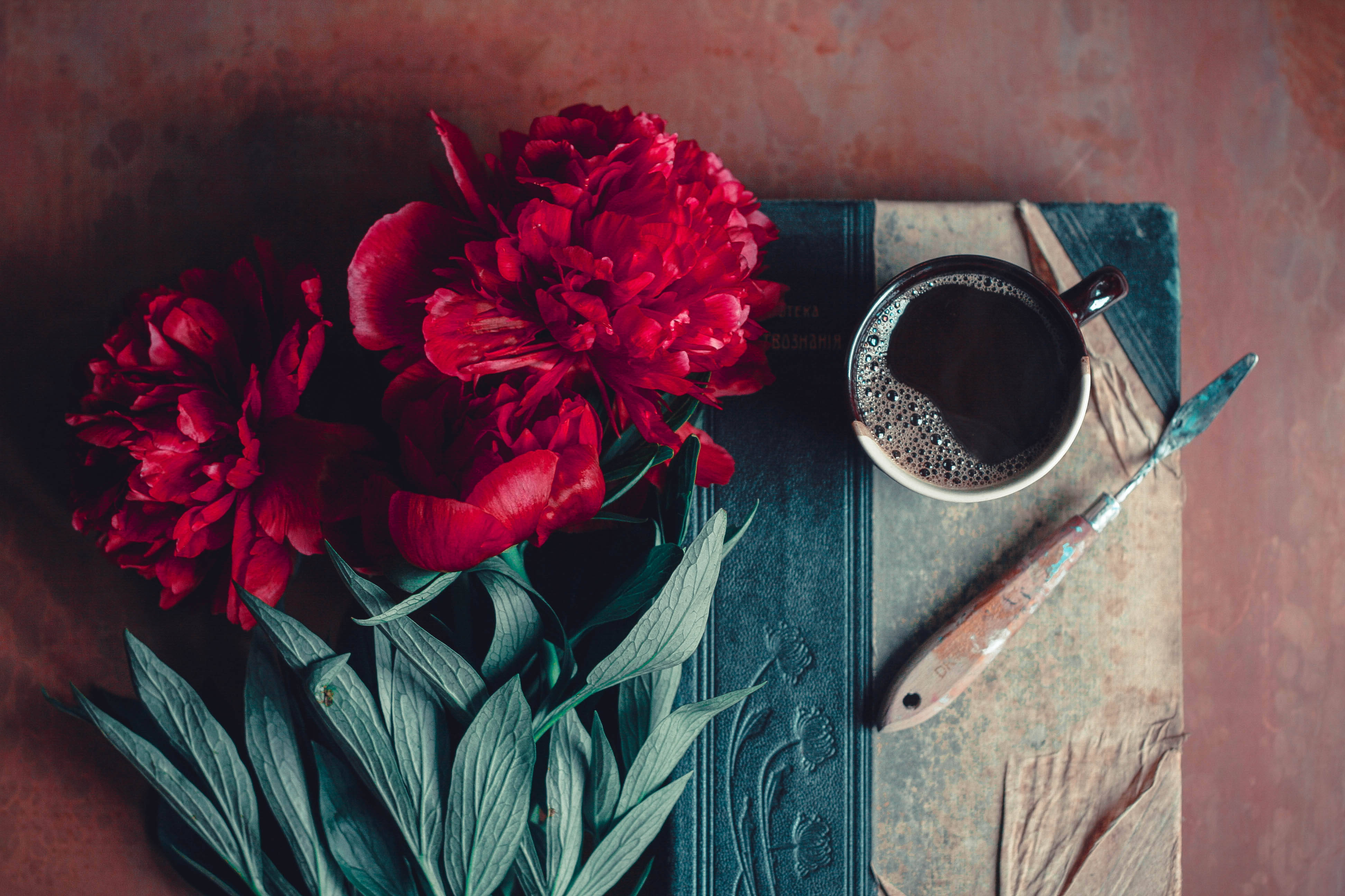 vintage minimalist, red roses, textured vintage book, 4K Desktop Wallpaper