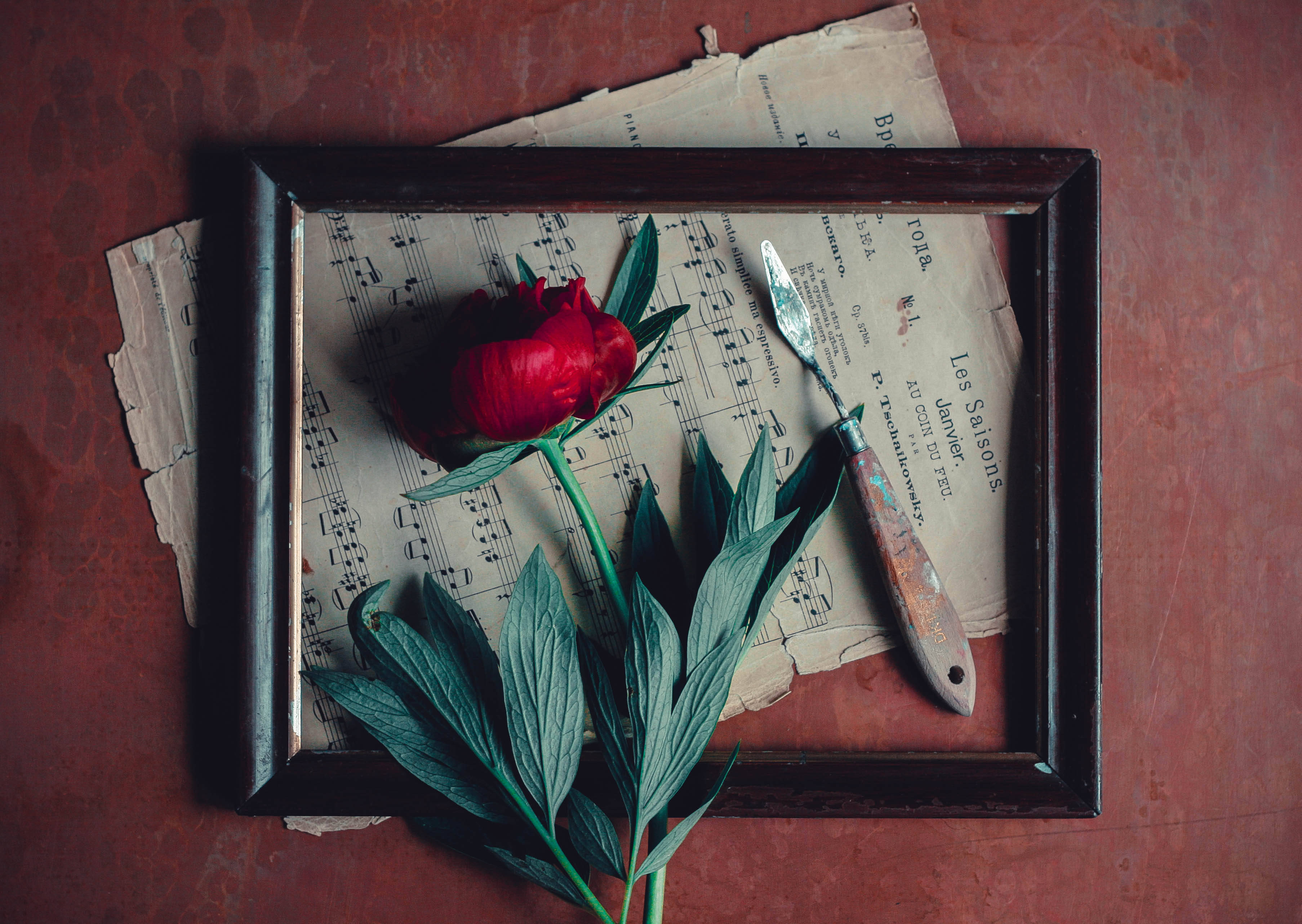 vintage minimalist rose, dark wooden frame, aged sheet music, 2K Desktop Wallpaper