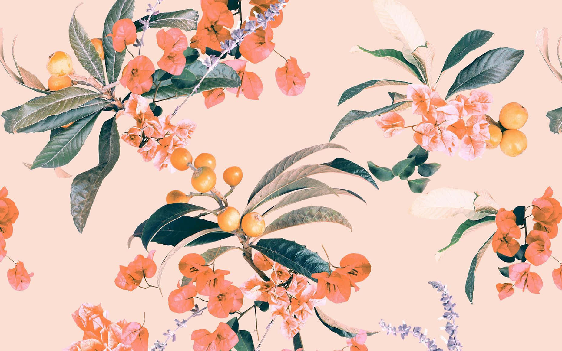 floral pattern, orange flowers, golden fruits, HD Desktop Wallpaper